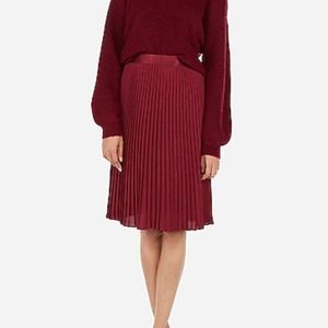 Express Pleated Ballet Skirt